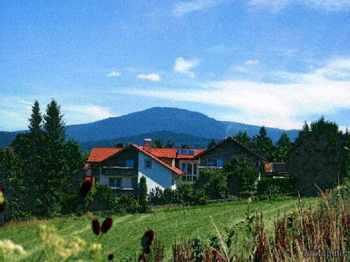 Pension Landhaus Hochfeld Zwiesel Luaran gambar